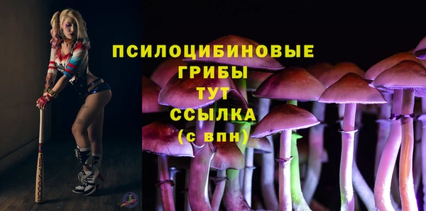 кокс Лабытнанги