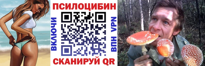 kraken вход  это как зайти  Галлюциногенные грибы мицелий  Южно-Сухокумск 